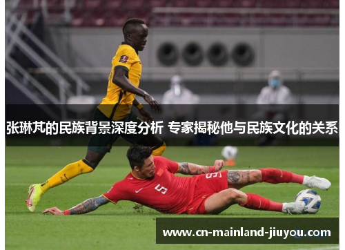 张琳芃的民族背景深度分析 专家揭秘他与民族文化的关系