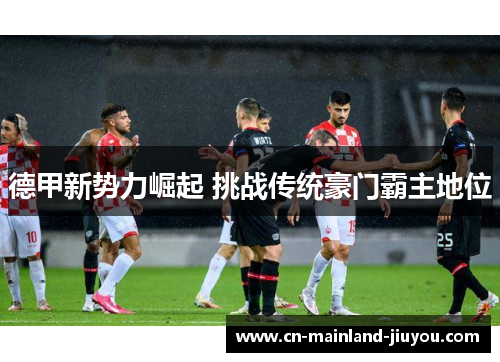 德甲新势力崛起 挑战传统豪门霸主地位 德甲新势力崛起 挑战传统豪门霸主地位