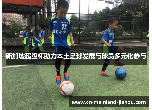 新加坡超级杯助力本土足球发展与球员多元化参与 新加坡超级杯助力本土足球发展与球员多元化参与