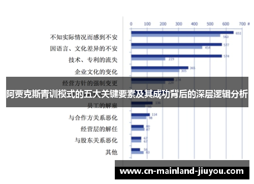 阿贾克斯青训模式的五大关键要素及其成功背后的深层逻辑分析 阿贾克斯青训模式的五大关键要素及其成功背后的深层逻辑分析
